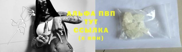 стаф Беломорск