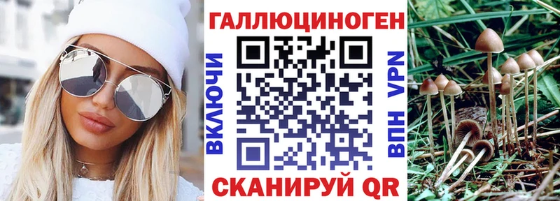 kraken сайт  Выборг  Псилоцибиновые грибы мухоморы 